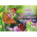 Felicitare Sa-ti dea ce-ti doreste inima...